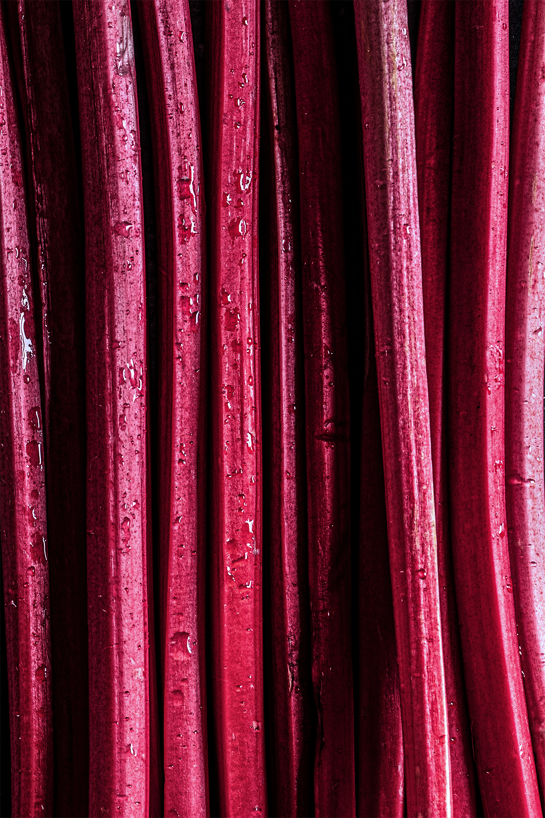 Rhubarb Frangipane Tart